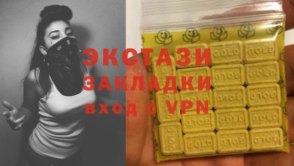 стаф Алзамай