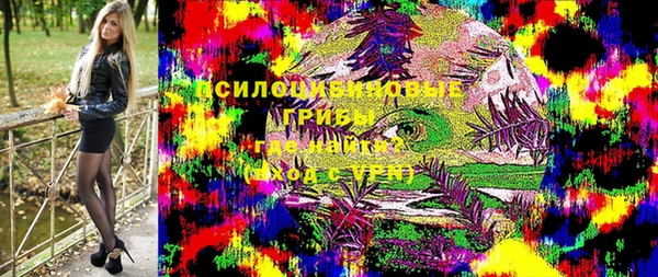 дживик Абинск