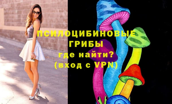 кокс Алексеевка