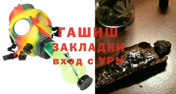 стаф Алзамай