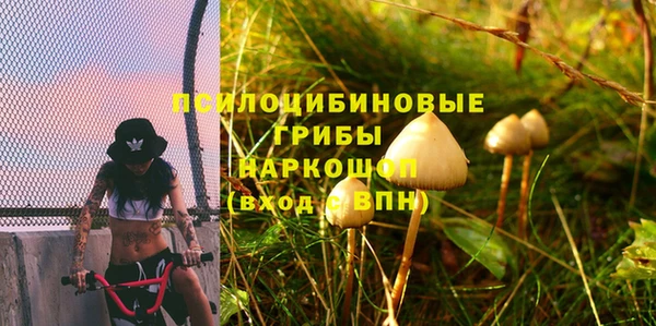стаф Алзамай
