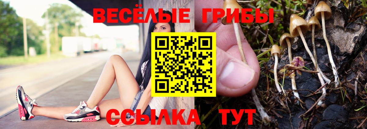 Галлюциногенные грибы Cubensis  Вход с VPN  Архангельск 