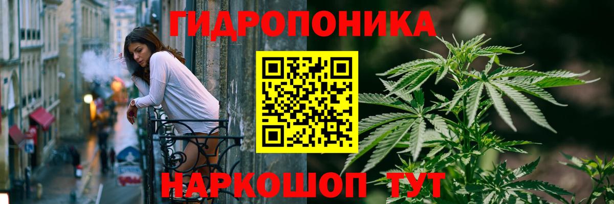 Каннабис семена  МАРИХУАНА планчик  Архангельск  Вход с VPN 